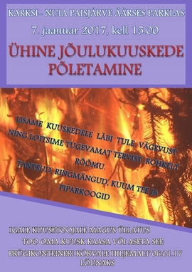 Jõulukuuskede põletamine